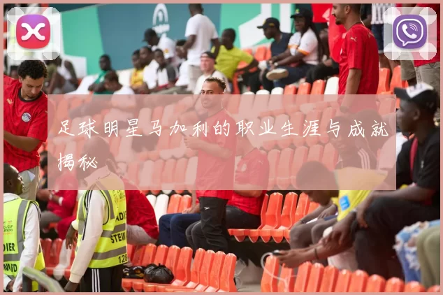 足球明星马加利的职业生涯与成就揭秘