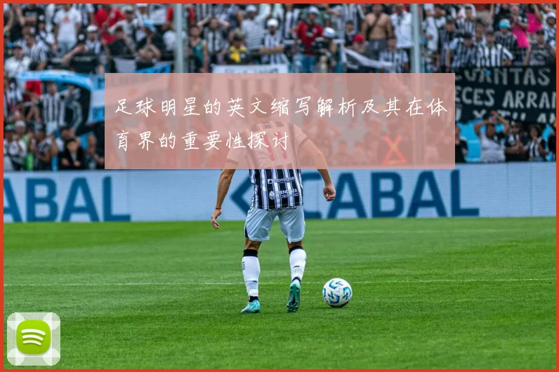 足球明星的英文缩写解析及其在体育界的重要性探讨