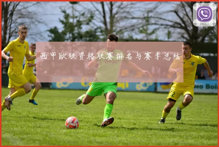 西甲欧联资格联赛排名与赛季总结