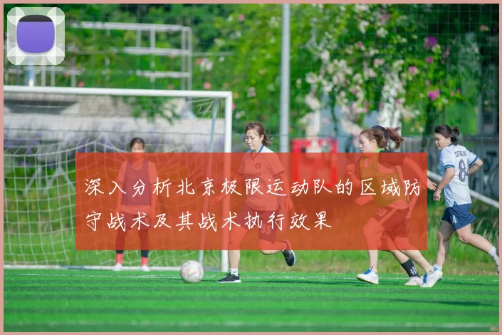深入分析北京极限运动队的区域防守战术及其战术执行效果