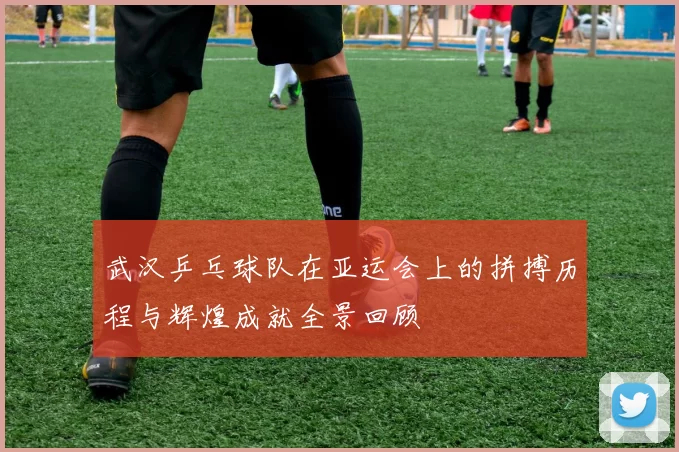 武汉乒乓球队在亚运会上的拼搏历程与辉煌成就全景回顾