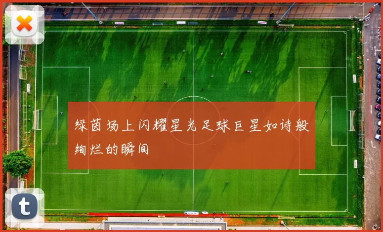 绿茵场上闪耀星光足球巨星如诗般绚烂的瞬间