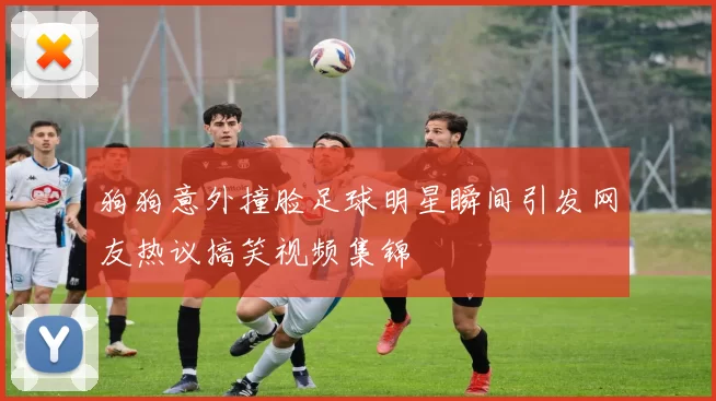 狗狗意外撞脸足球明星瞬间引发网友热议搞笑视频集锦