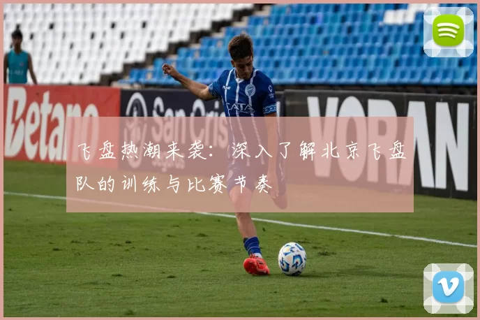 飞盘热潮来袭：深入了解北京飞盘队的训练与比赛节奏