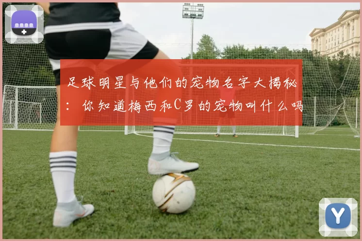 足球明星与他们的宠物名字大揭秘：你知道梅西和C罗的宠物叫什么吗