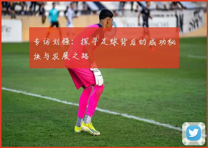 专访刘强：探寻足球背后的成功秘诀与发展之路