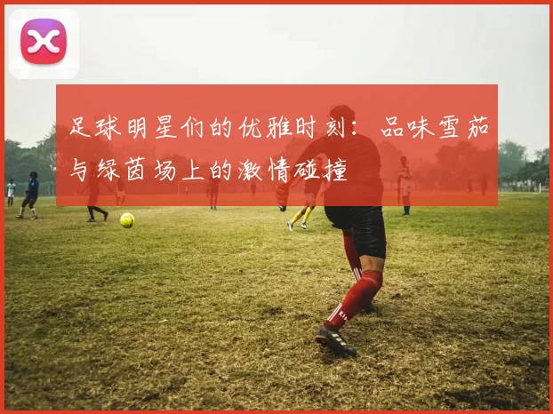 足球明星们的优雅时刻：品味雪茄与绿茵场上的激情碰撞