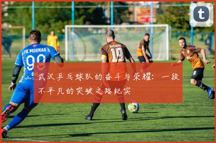 武汉乒乓球队的奋斗与荣耀：一段不平凡的突破之路纪实