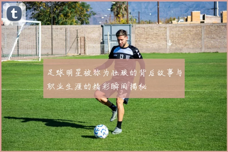 足球明星被称为独狼的背后故事与职业生涯的精彩瞬间揭秘
