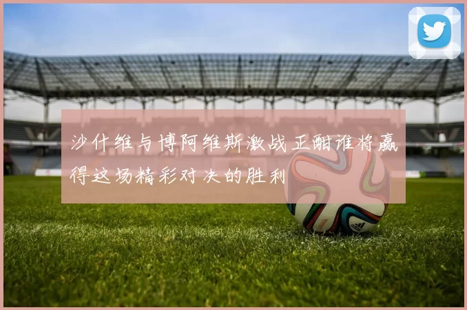 沙什维与博阿维斯激战正酣谁将赢得这场精彩对决的胜利