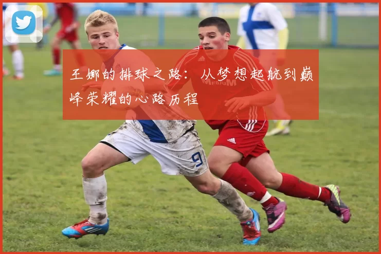 王娜的排球之路：从梦想起航到巅峰荣耀的心路历程