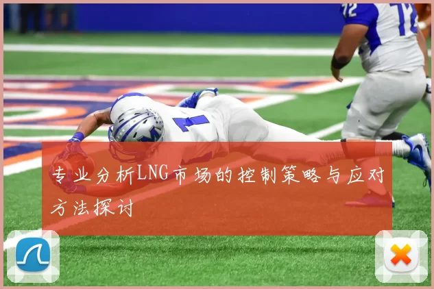 专业分析LNG市场的控制策略与应对方法探讨