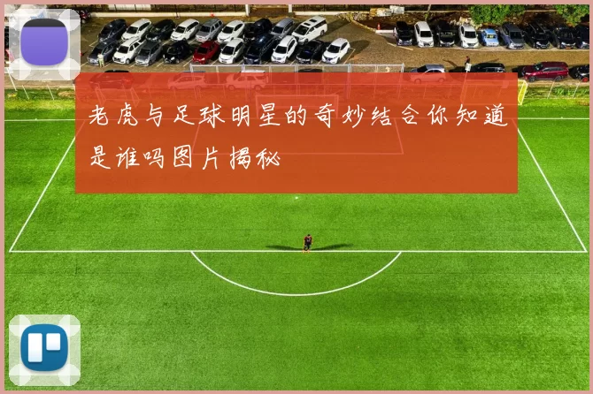 老虎与足球明星的奇妙结合你知道是谁吗图片揭秘