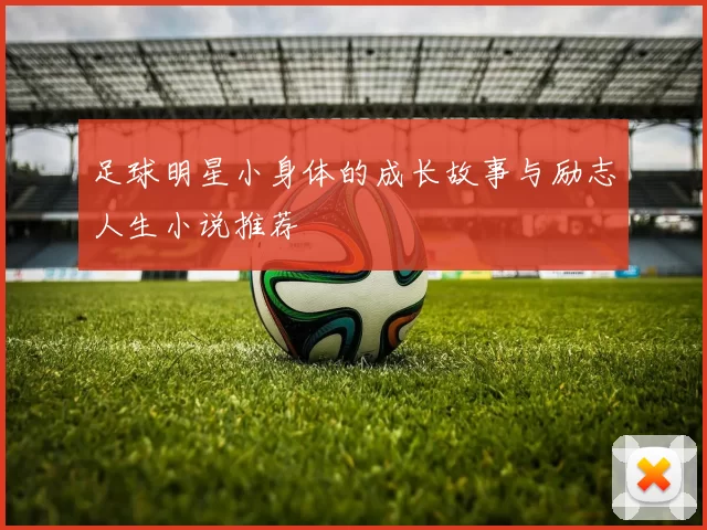 足球明星小身体的成长故事与励志人生小说推荐