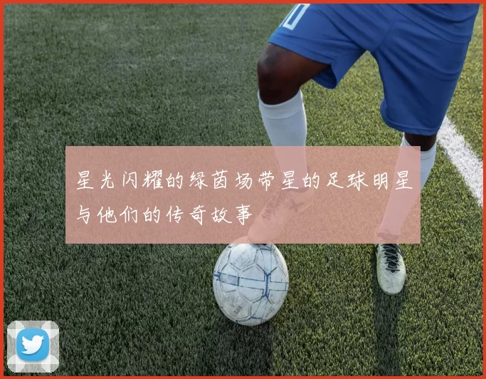 星光闪耀的绿茵场带星的足球明星与他们的传奇故事