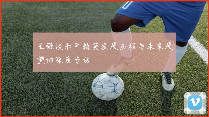 王强谈和平精英发展历程与未来展望的深度专访