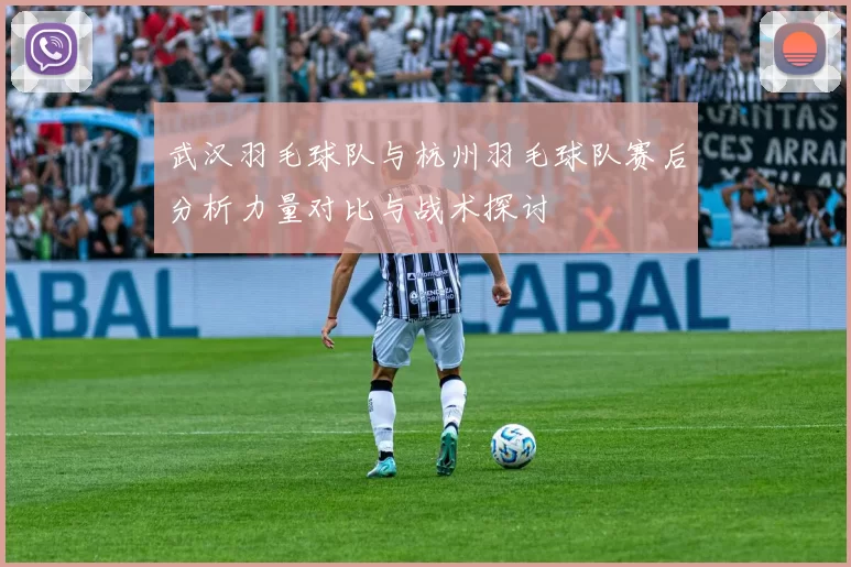 武汉羽毛球队与杭州羽毛球队赛后分析力量对比与战术探讨