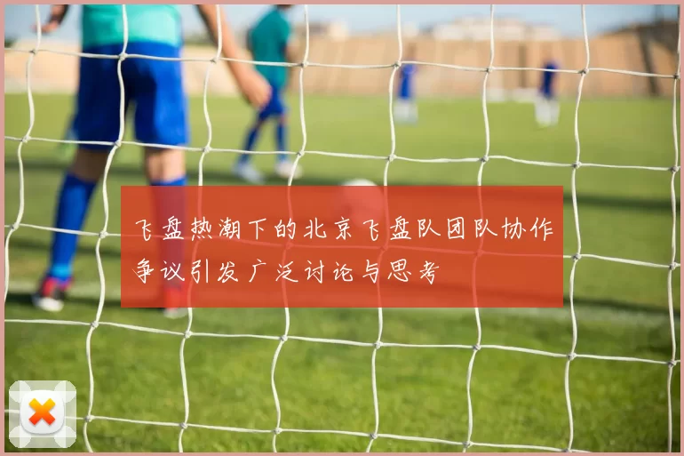 飞盘热潮下的北京飞盘队团队协作争议引发广泛讨论与思考