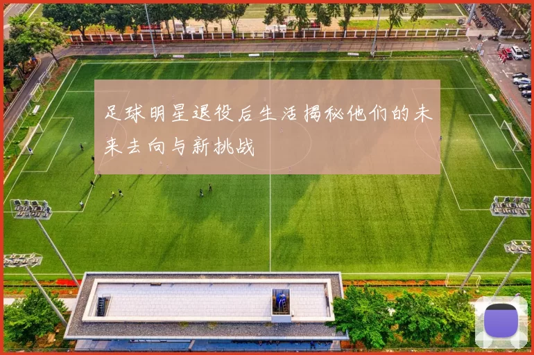 足球明星退役后生活揭秘他们的未来去向与新挑战