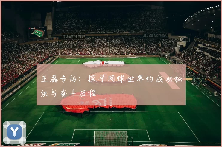 王磊专访：探寻网球世界的成功秘诀与奋斗历程