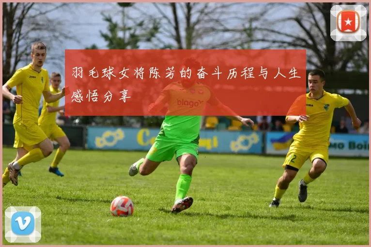 羽毛球女将陈芳的奋斗历程与人生感悟分享