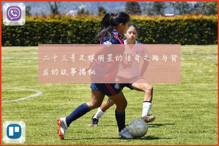 二十三号足球明星的传奇之路与背后的故事揭秘