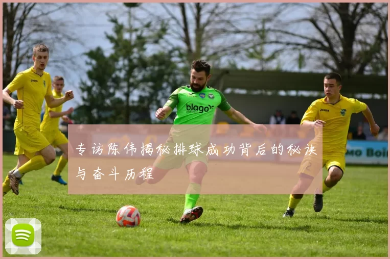 专访陈伟揭秘排球成功背后的秘诀与奋斗历程