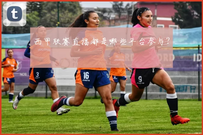 西甲联赛直播都是哪些平台参与？
