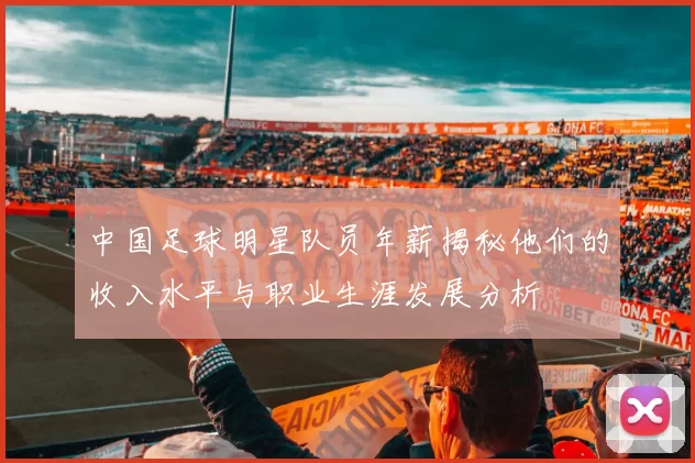 中国足球明星队员年薪揭秘他们的收入水平与职业生涯发展分析